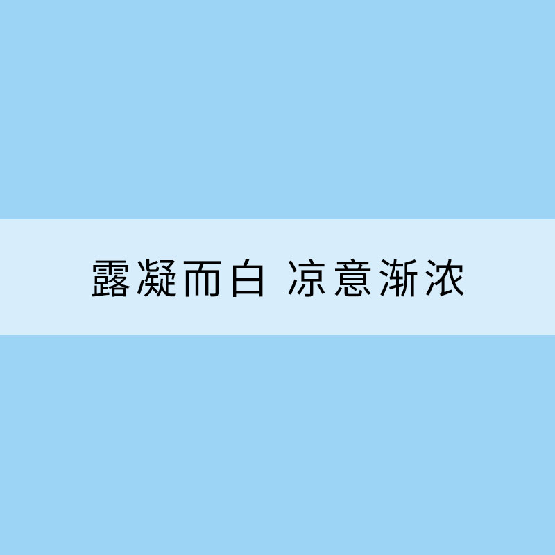 白露：露凝而白 凉意渐浓