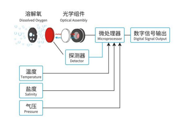 在线荧光法溶解氧传感器